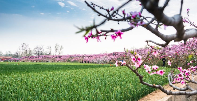 Sunshine Jiayuan Yutai County concentrated support center for poverty-stricken people